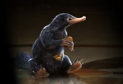 Гарри Поттер и нюхлеры